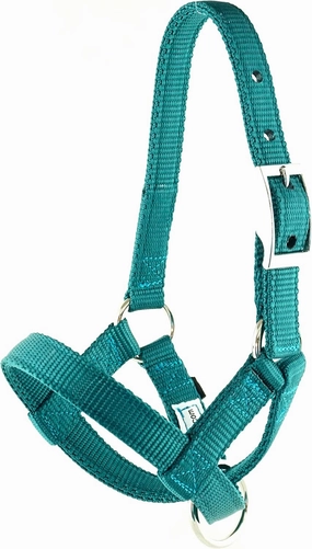 Alpaca Halter, S M L, Made in USA, Lead, Fence Tie, 24 Patterns, Figure 8, Small, Medium, Large, Livestock (Ice Blue, Medium)