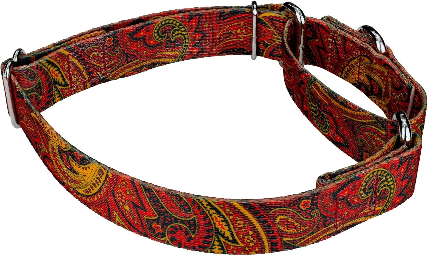 Country Brook Petz - Fire Paisley Martingale Dog Collar and Leash - Paisley Collection Featuring Classy Designs (1 Inch, Large)