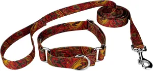 Country Brook Petz - Fire Paisley Martingale Dog Collar and Leash - Paisley Collection Featuring Classy Designs (1 Inch, Large)