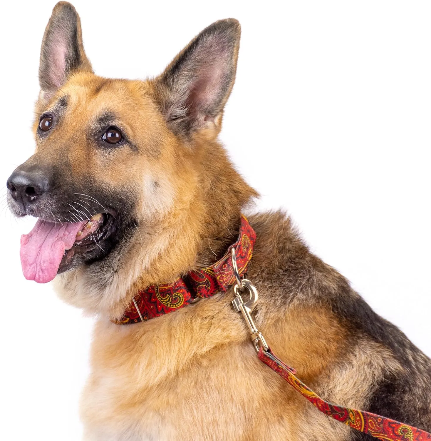 Country Brook Petz - Fire Paisley Martingale Dog Collar and Leash - Paisley Collection Featuring Classy Designs (1 Inch, Large)