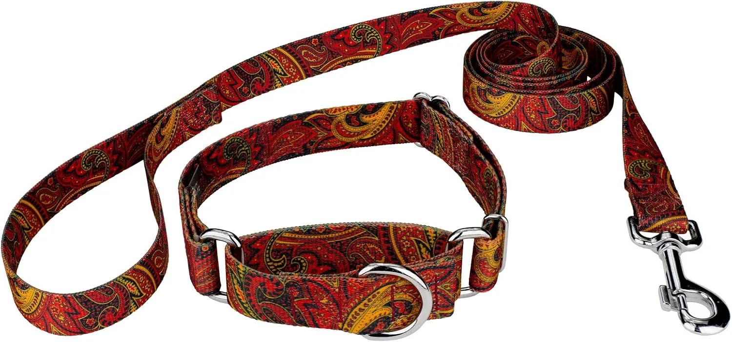 Country Brook Petz - Fire Paisley Martingale Dog Collar and Leash - Paisley Collection Featuring Classy Designs (1 Inch, Large)