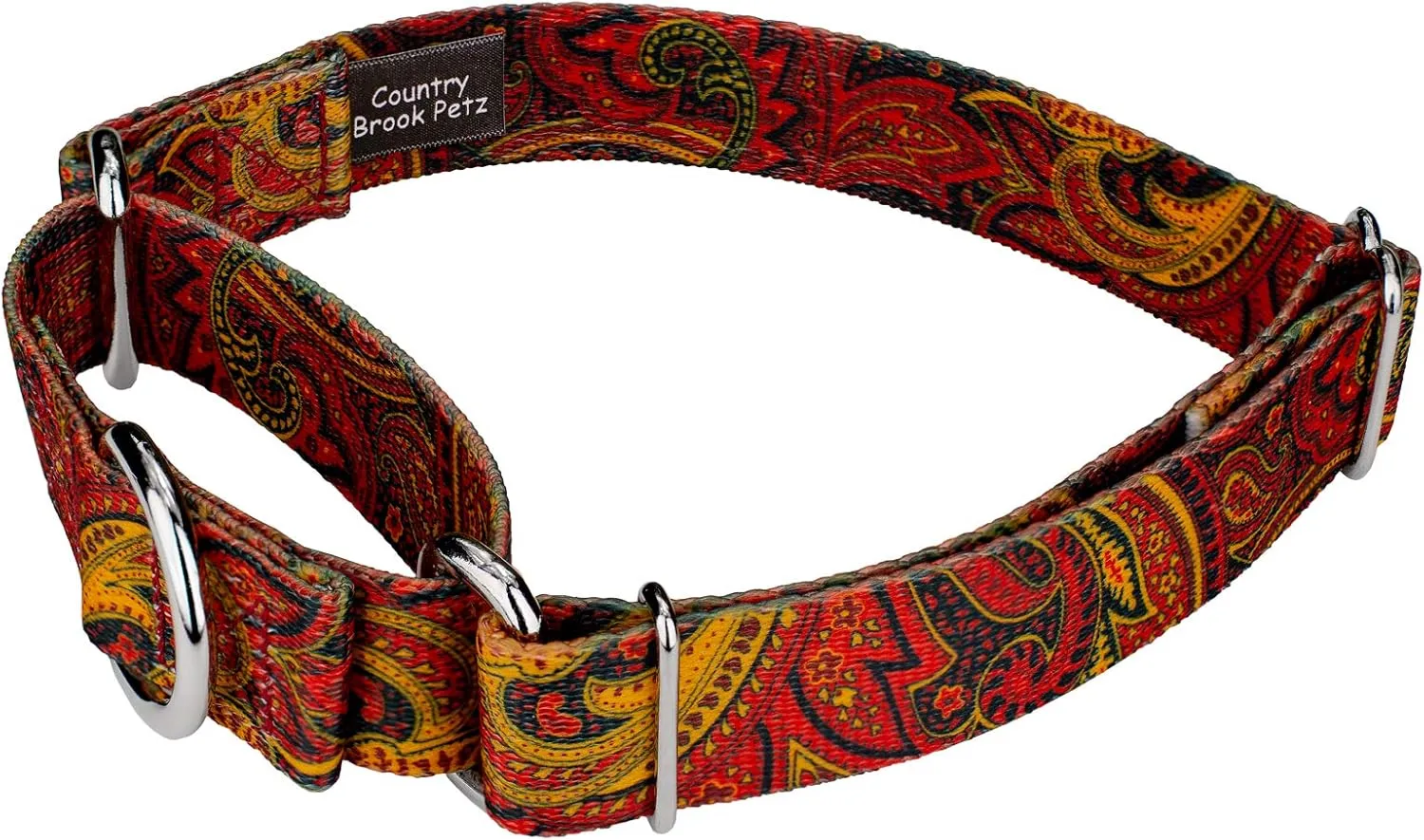 Country Brook Petz - Fire Paisley Martingale Dog Collar and Leash - Paisley Collection Featuring Classy Designs (1 Inch, Large)