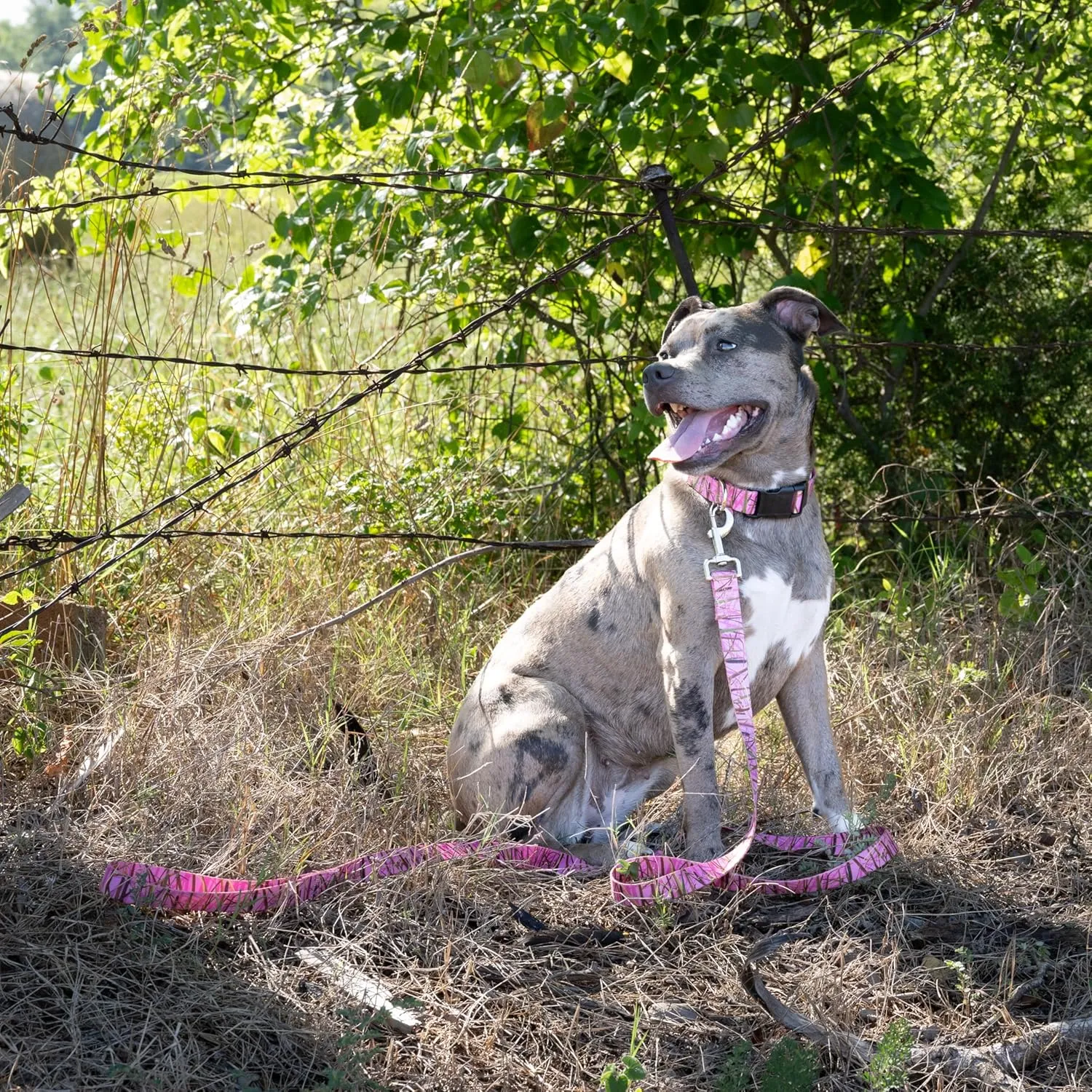 Country Brook Petz - Pink Waterfowl Camo Deluxe Dog Collar and Leash - Camouflage Collection Featuring Rugged Designs (1 Inch, Medium)