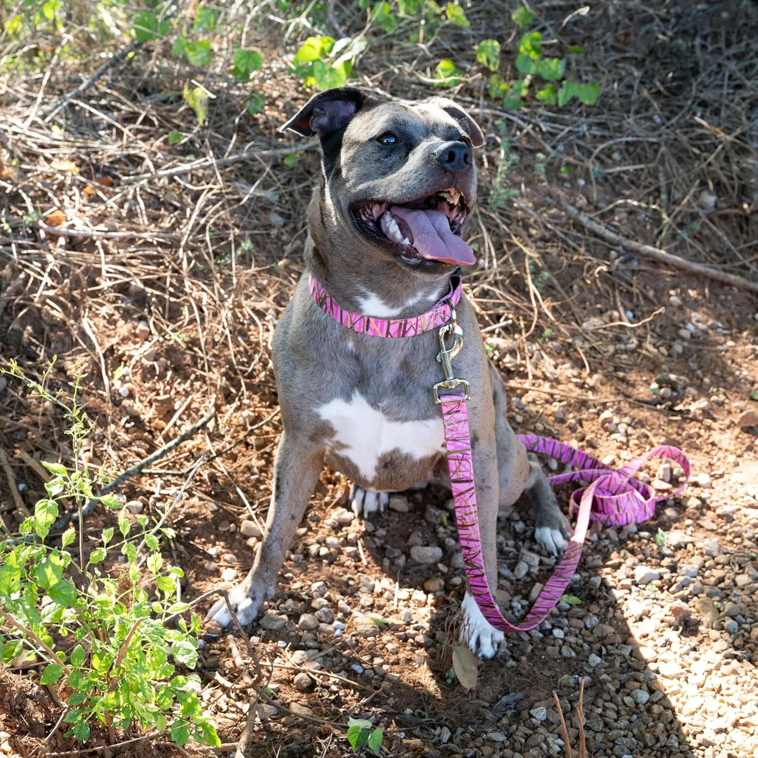 Country Brook Petz - Pink Waterfowl Camo Deluxe Dog Collar and Leash - Camouflage Collection Featuring Rugged Designs (1 Inch, Medium)