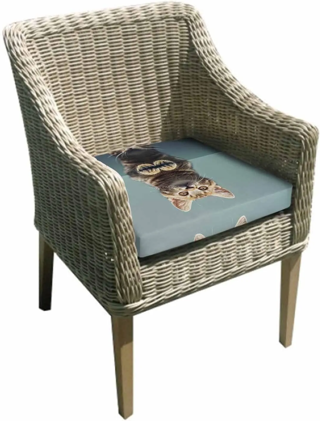 Cute Lovely Cat Outdoor Cushion Chair Cover Set of 2 - Waterproof Couch Seat Covers, Modern Art Mirror Image Pet Patio Furniture Protector Cushions Slipcovers for Sofa/RV, 24"x24"x4"