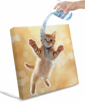 Cute Orange Cat Outdoor Cushion Chair Cover Set of 4 - Waterproof Couch Seat Covers, Lovely Modern Floating Pet Kitten Patio Furniture Protector Cushions Slipcovers for Sofa/RV, 24"x24"x4"