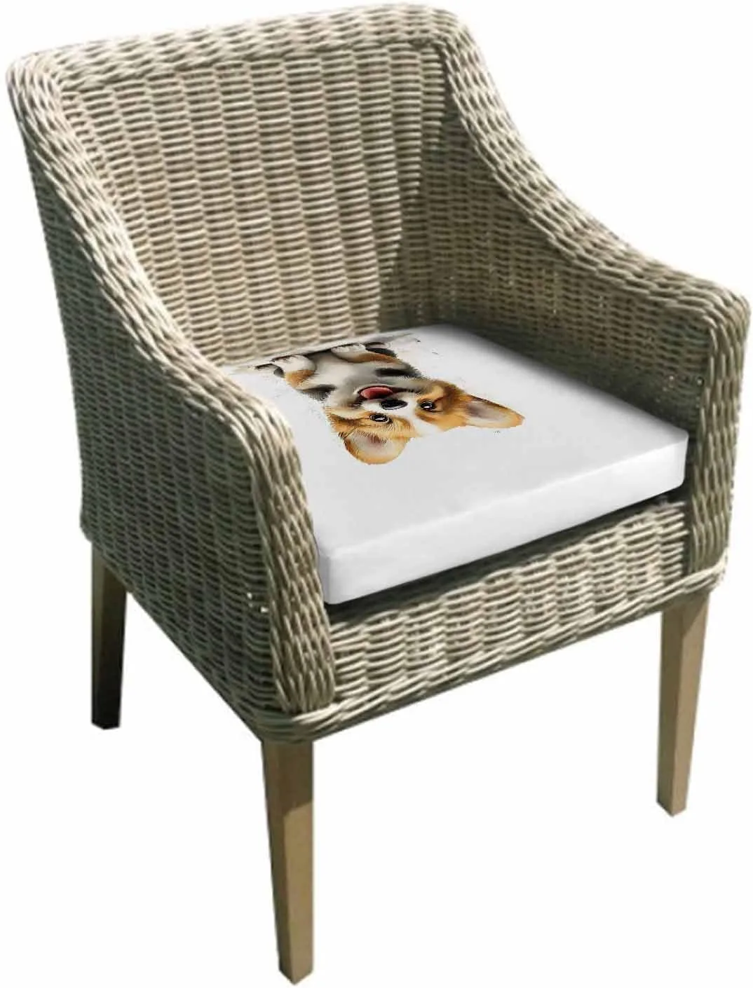 Cute Puppy Outdoor Cushion Chair Cover Set of 2 - Waterproof Couch Seat Covers, Modern Sitting Pet Dog Watercolor Patio Furniture Protector Cushions Slipcovers for Sofa/RV, 24"x24"x4"