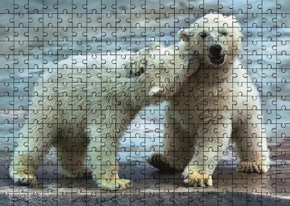 Education Intellectual Toy Puzzle 500 Pieces Jigsaw Puzzle for Adults Baby Polar Bears Wooden Puzzle Environmentally Friendly No Odor Challenging Fun Family Holiday Activities Games Toys Gifts