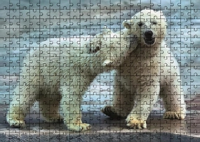 Education Intellectual Toy Puzzle 500 Pieces Jigsaw Puzzle for Adults Baby Polar Bears Wooden Puzzle Environmentally Friendly No Odor Challenging Fun Family Holiday Activities Games Toys Gifts