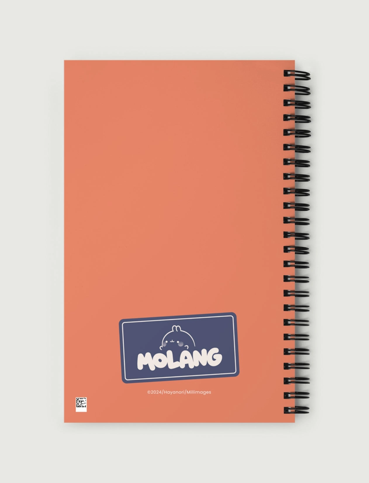Molang Postal Bullet Journal