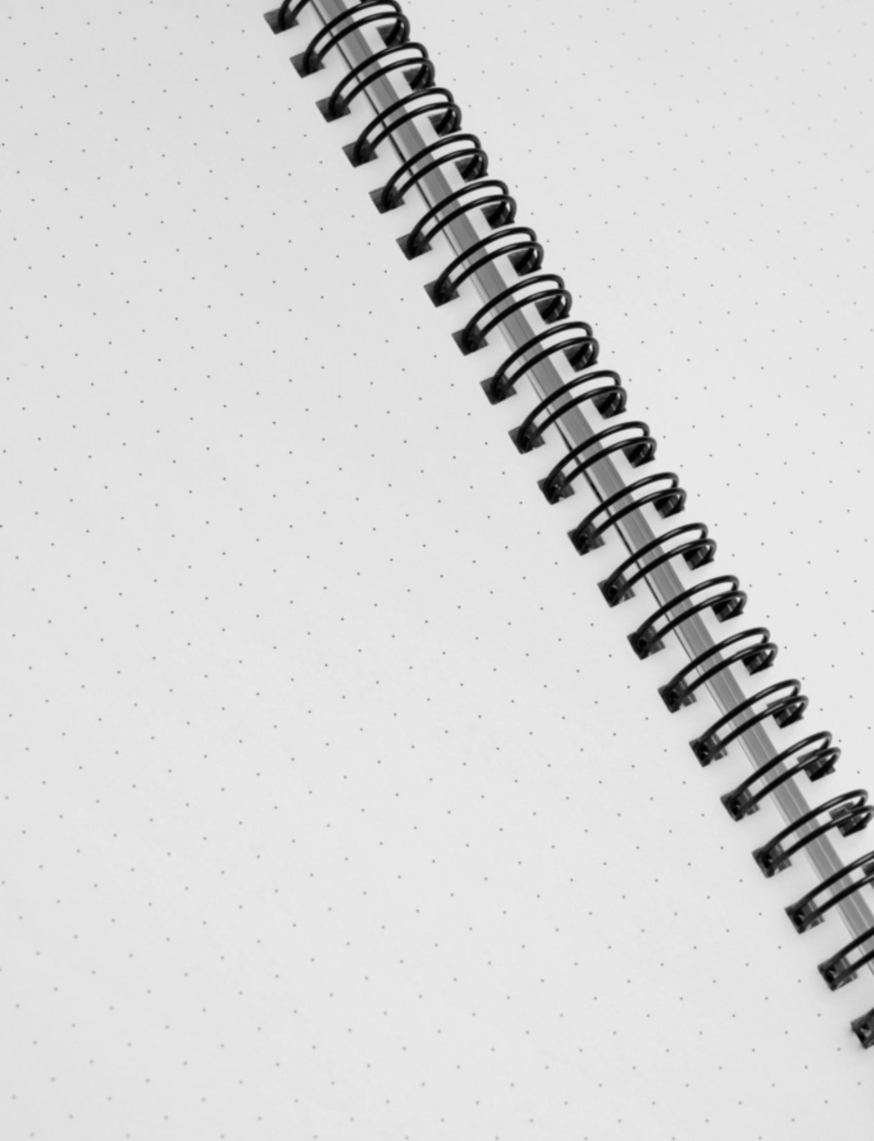 Molang Postal Bullet Journal