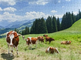Puzzles for Adults 1000 Pieces Cows Pasture Alpine Meadow - for Youth Children Home Decor Funny Jigsaw Puzzles