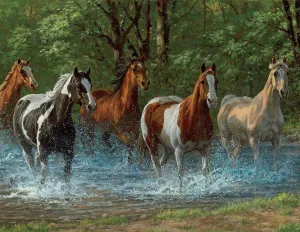 Springbok 500 Piece Jigsaw Puzzle Summer Creek Multi, Large/18 x 23.5"