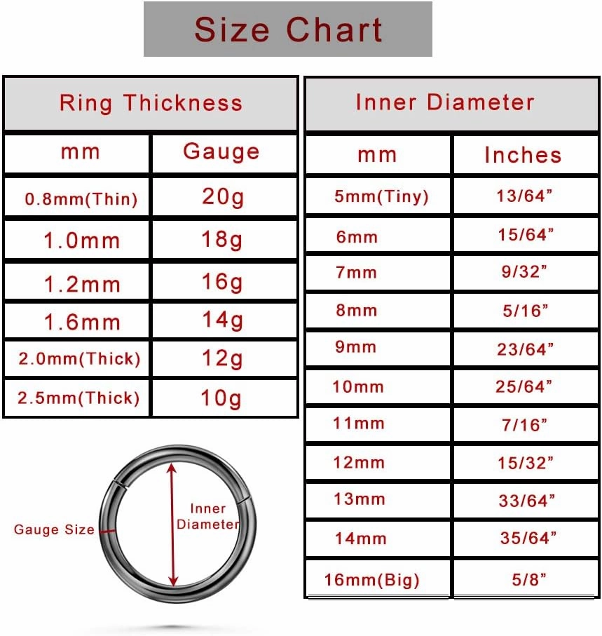 TDEBA 20G 18G 16G Clear CZ Nose Rings Hoop, 316L Surgical Steel Cartilage Earrings Hoop, 5-12mm Daith Helix Rook Tragus Piercing Jewelry, Stainless Steel Earring Silver Conch Piercing Jewelry